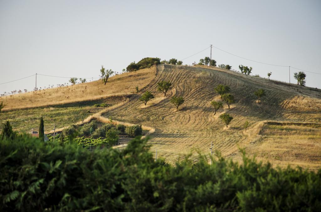 La Fucina Di Vulcano Bronte Extérieur photo